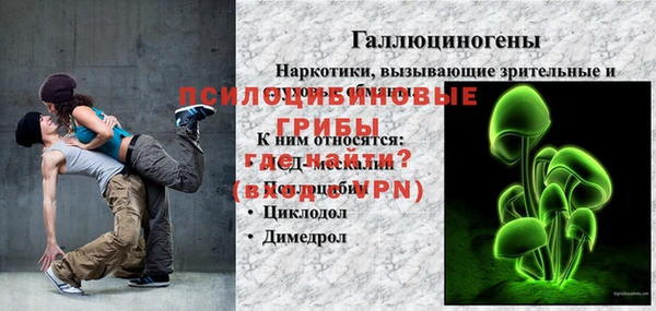 МДПВ Аша