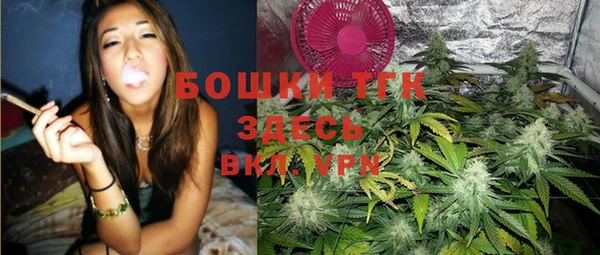 МДПВ Аша