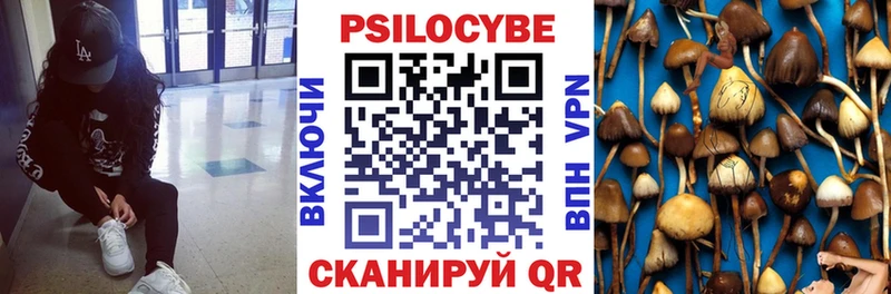 закладки  Заречный  Галлюциногенные грибы GOLDEN TEACHER 
