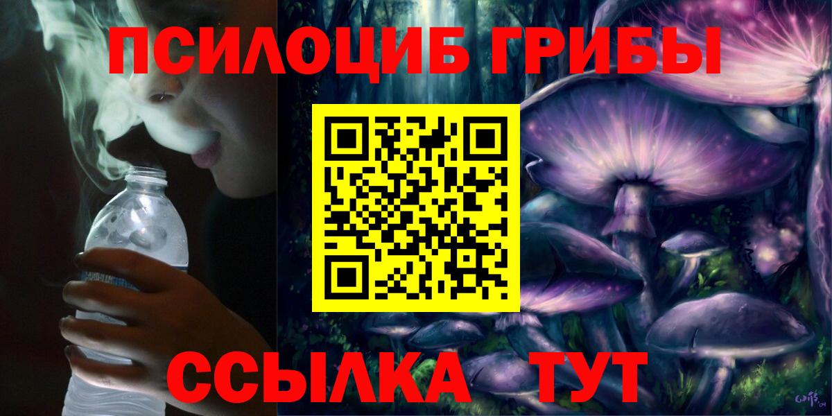 Галлюциногенные грибы прущие грибы  Псилоцибиновые грибы мицелий  Заречный  Вход с VPN 