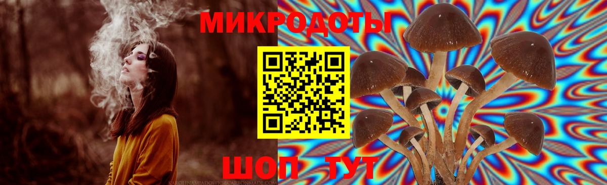 Псилоцибиновые грибы ЛСД Заречный