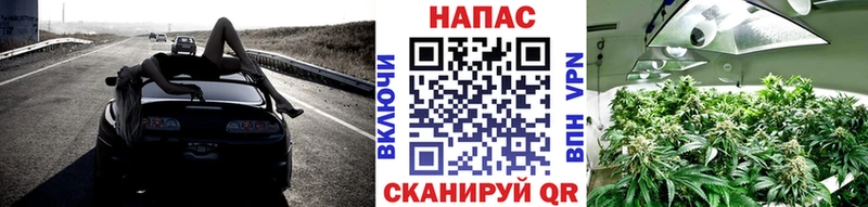 Шишки марихуана сатива  Заречный 